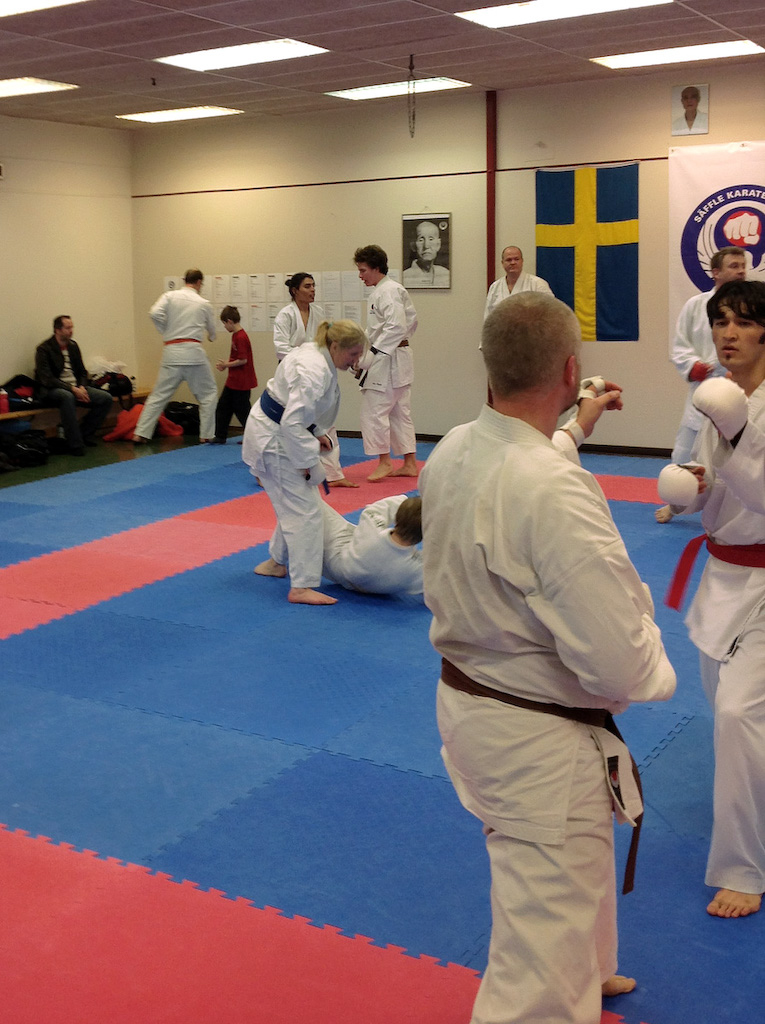 bild4